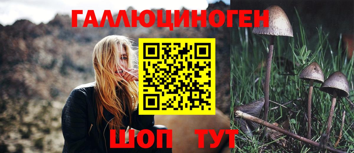 Галлюциногенные грибы прущие грибы  Вход с VPN  Новоуральск  Галлюциногенные грибы Cubensis 